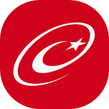 e-Devlet