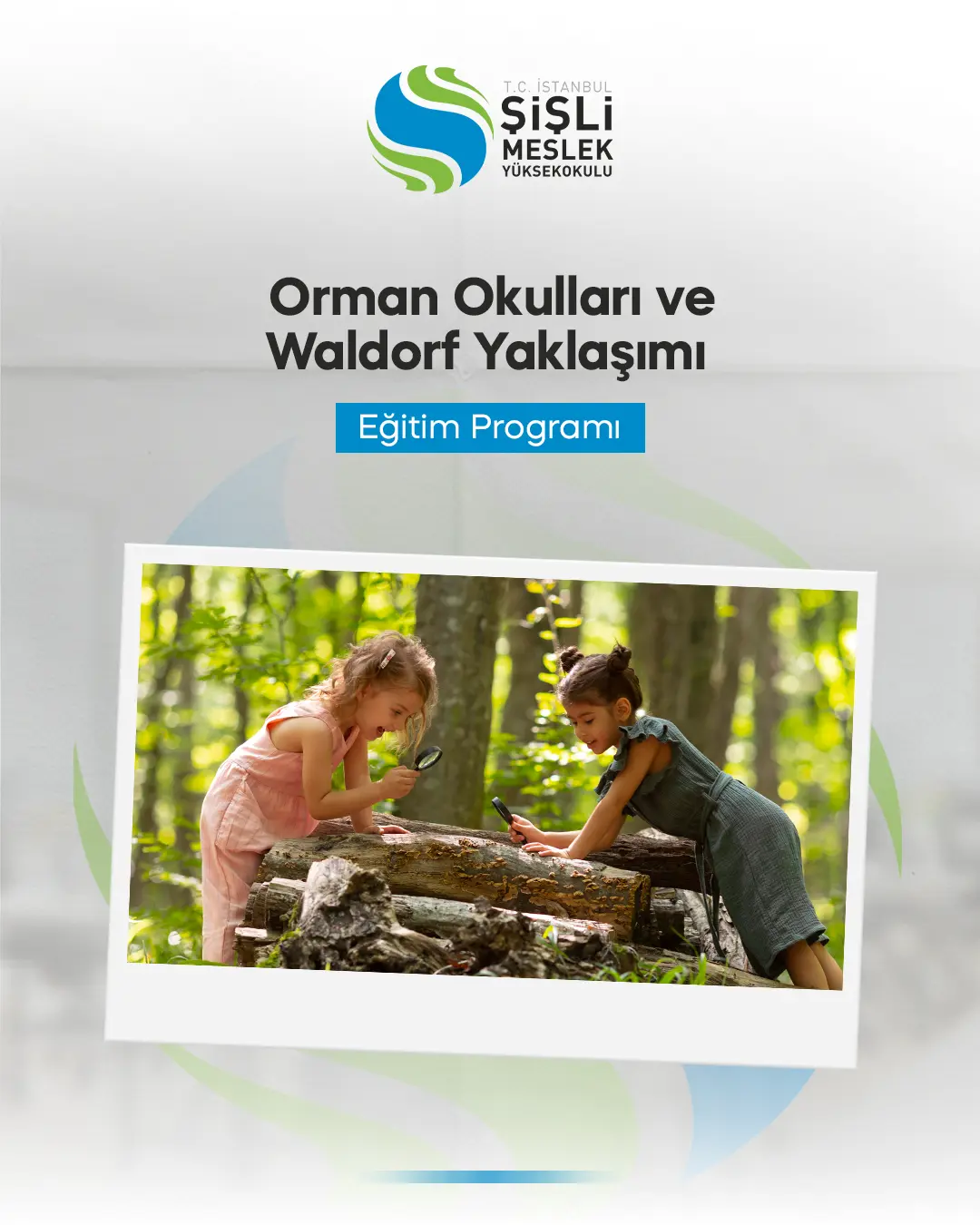 Orman Okulları Ve Waldorf Yaklaşımı Eğitimi